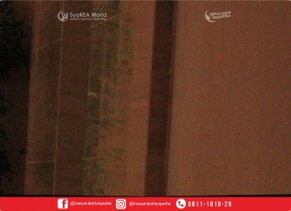 Dalam Bayang Penjilat dan Penghianat