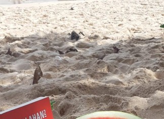 The Secret of Rezeki